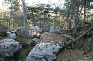 Wald FB