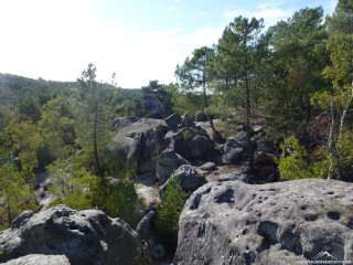 Ausblick