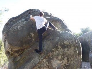 Oranger parcour