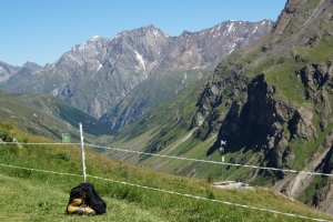 Bergsteigeridylle