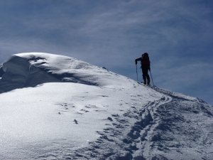 Siggi - Seefelder Spitze