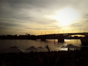 Feierabendrunde am Rhein bei perfektem Laufwetter