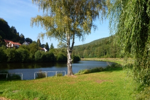 Wunderschön kurvige Waldstrecke auf dem Weg in die Vogesen