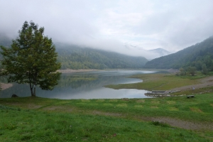 Auberge @ Lac du Wildenstein