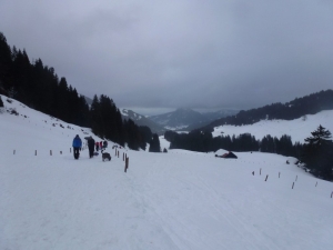 Slalom fahren auf dem Forstweg zurück ins Tal