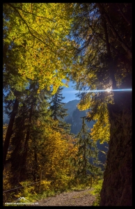 Bunter Herbstwald am Stockhorn