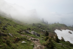 Aufstieg im Nebel
