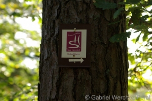 Baybach_01