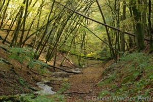 Baybach_02