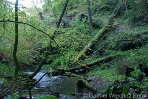 Baybach_04