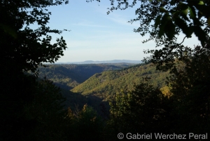 Traumschleife Baybachklamm