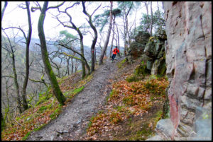 Trailrunning im Februar auf dem Rheinburgenweg