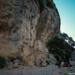 Roland in der Crux der "Only for Women"