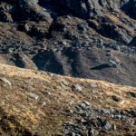 David in den weiten des Himalaya auf 4.600 Metern