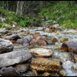 Gebirgsbach im Val D'Anniviers