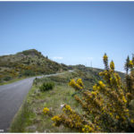 Straßen ziehen sich durch die traumhafte Landschaft von Madeira