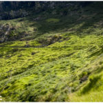 Levada Trails ohne Ende