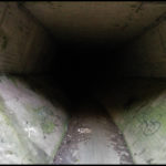 Der ominöse, stockfinstere Tunnel am Venusberg