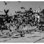 Luftgeister Pashupatinath