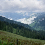 Der Nebel lichtet sich