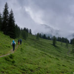 Die ersten Meter von der Loosbühel-Alm zum Draugstein