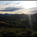 Ausblick vom Klosterfels auf den Pfälzerwald