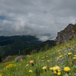 Roenfels am Belchen