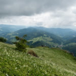 Wieder ein toller Picknickplatz