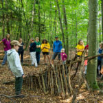 Was uns der Wald so alles zur Verfügung stellt