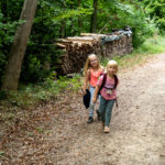 Pferdchen spielend durch den Wald