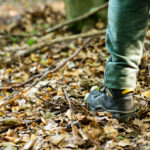 Die neuen Schuhe passen farblich perfekt